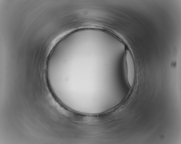 X0000112901379200909181925