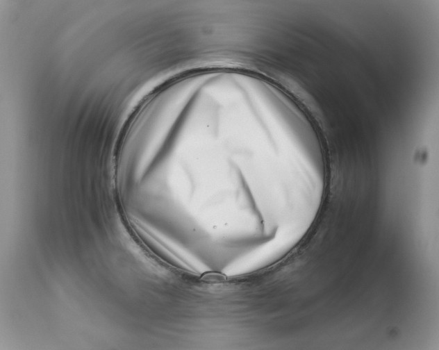 X0000112901380200909181925