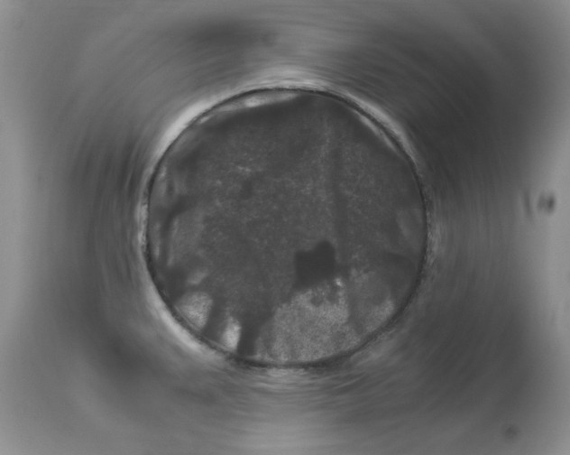 X0000112901383200909181925