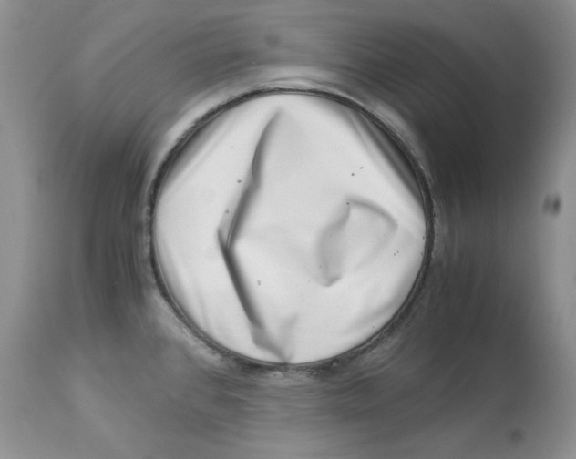 X0000112901384200909181925