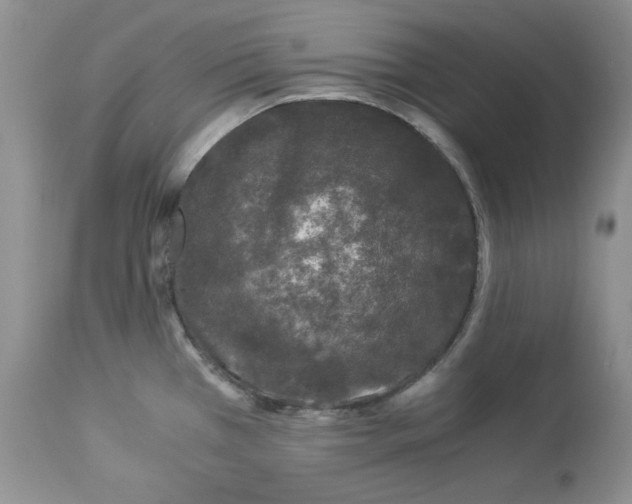 X0000112901385200909181925