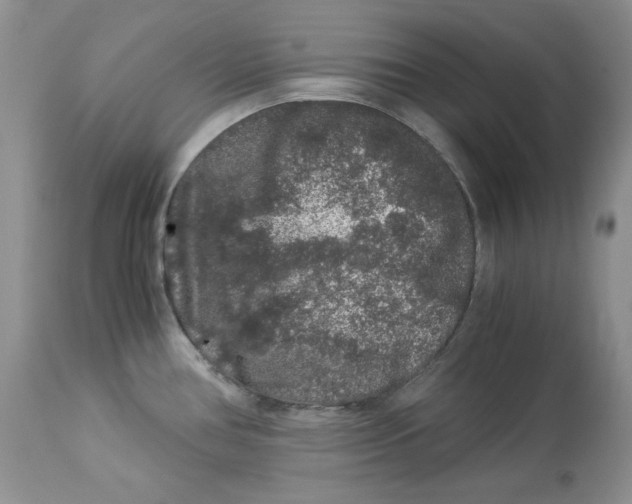 X0000112901386200909181925