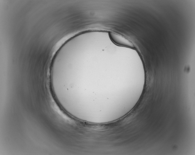 X0000112901387200909181925