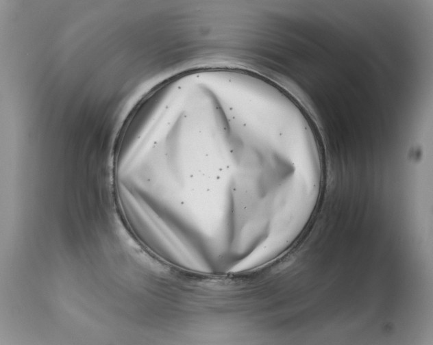 X0000112901388200909181925