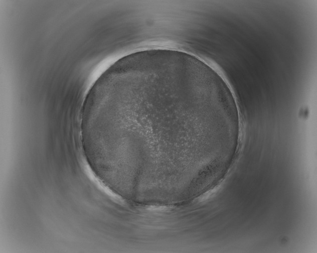 X0000112901389200909181925