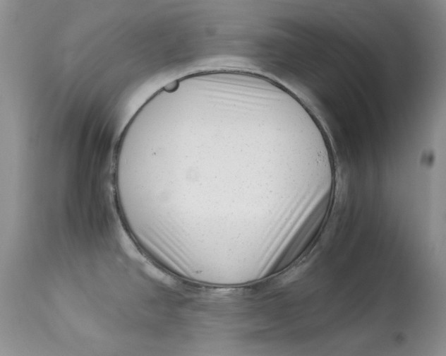 X0000112901390200909181925