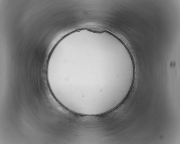 X0000112901392200909181925