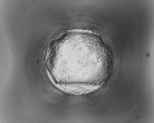 X0000112901393200909181924