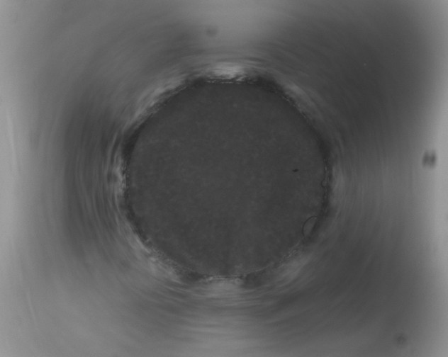 X0000112901394200909181924