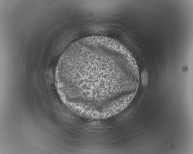 X0000112901395200909181924