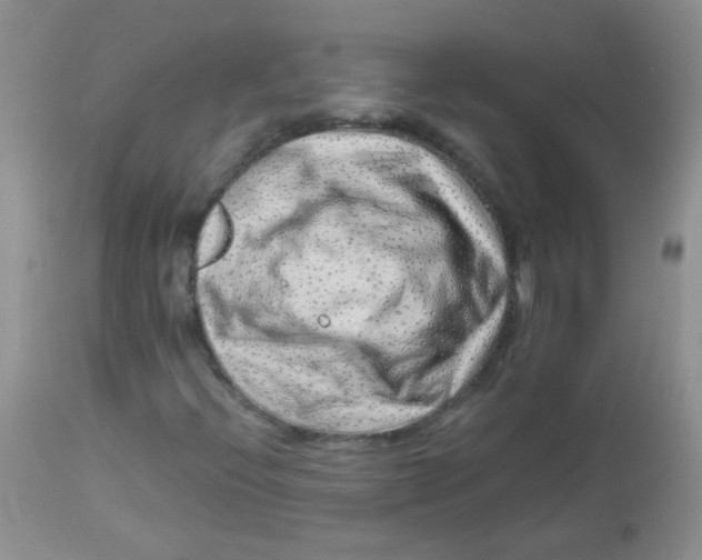 X0000112901396200909181924