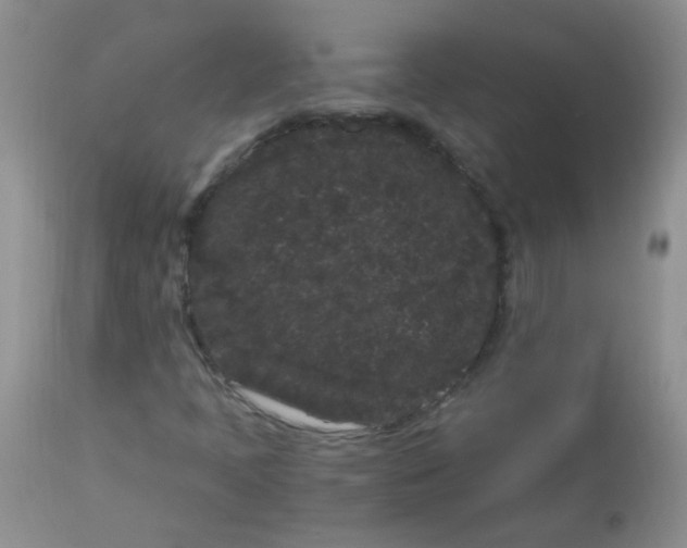 X0000112901397200909181924
