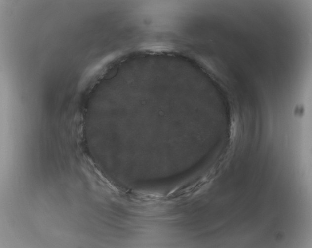 X0000112901398200909181924