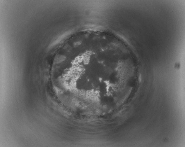 X0000112901399200909181924