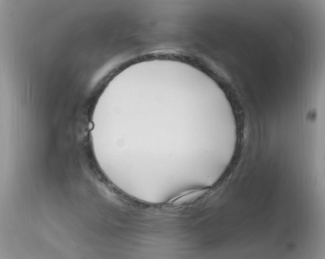 X0000112901400200909181924