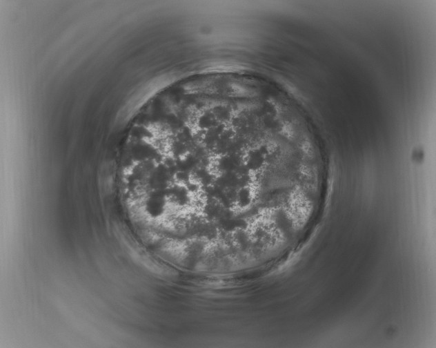X0000112901401200909181924