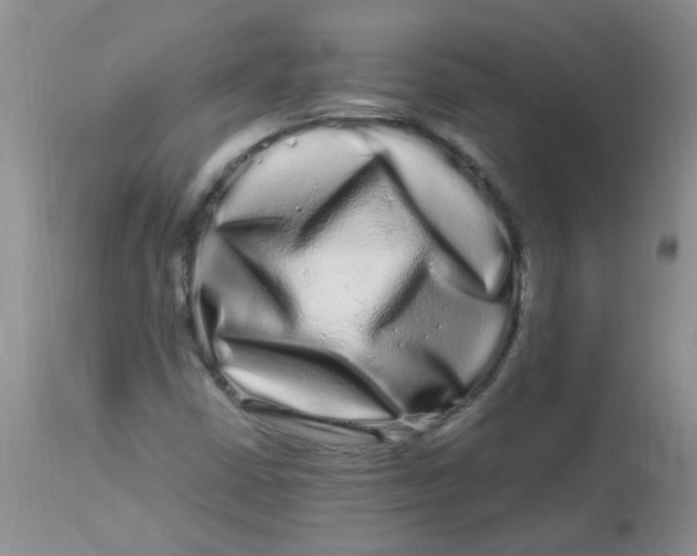 X0000112901402200909181924