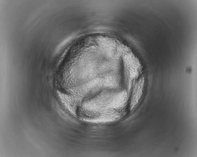 X0000112901403200909181924