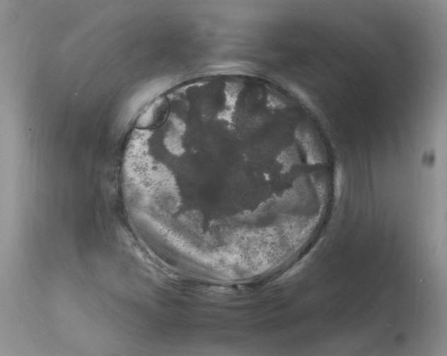 X0000112901405200909181924