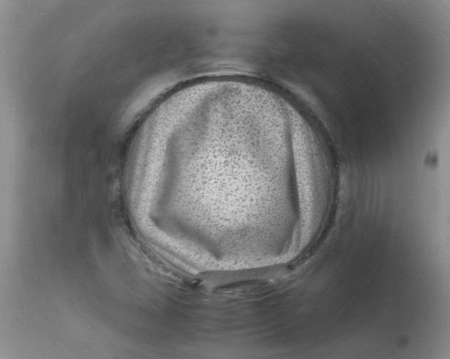 X0000112901407200909181925