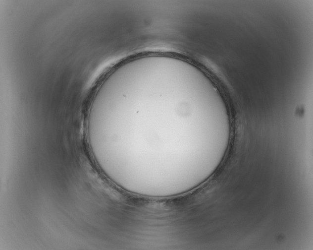 X0000112901408200909181925