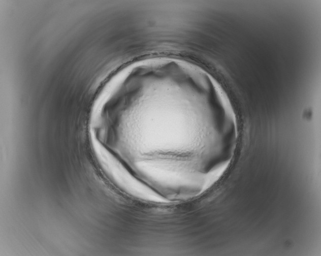 X0000112901409200909181925