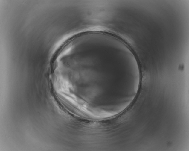 X0000112901414200909181925