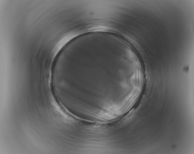 X0000112901418200909181925