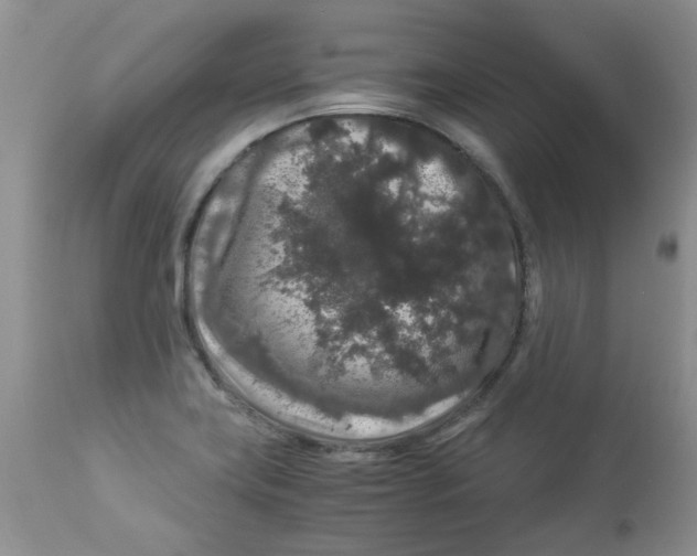 X0000112901419200909181925