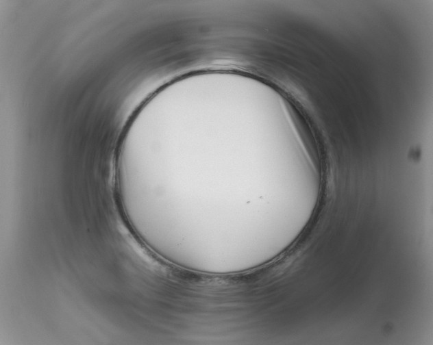 X0000112901420200909181925