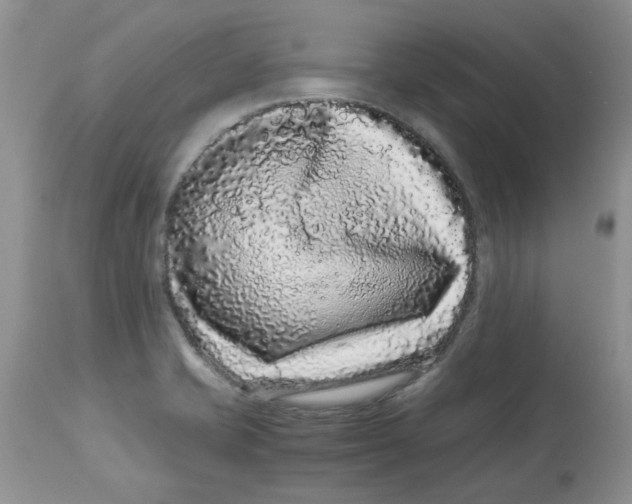 X0000112901421200909181925