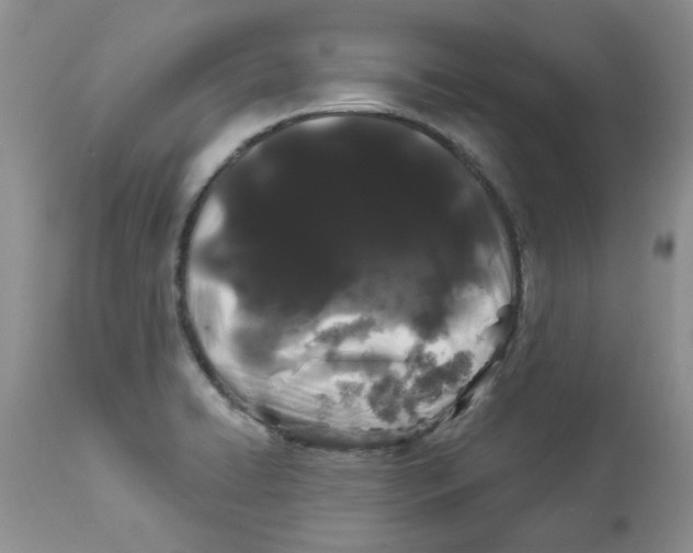 X0000112901422200909181925
