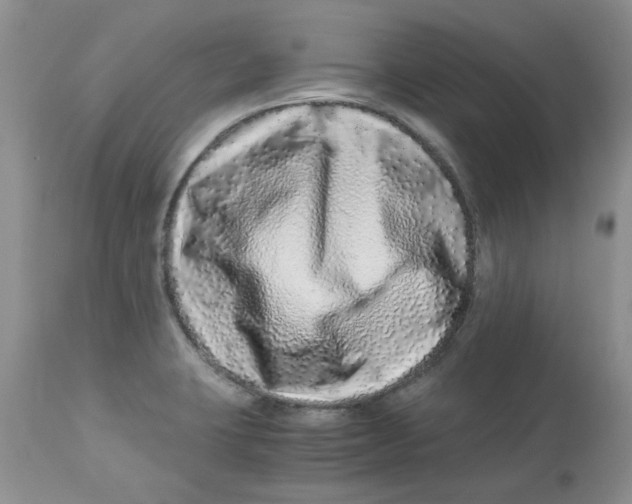 X0000112901423200909181925