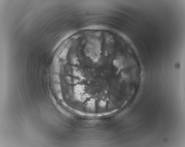 X0000112901425200909181925