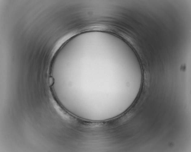X0000112901426200909181925