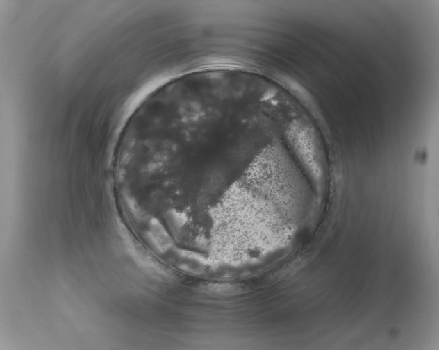 X0000112901427200909181925