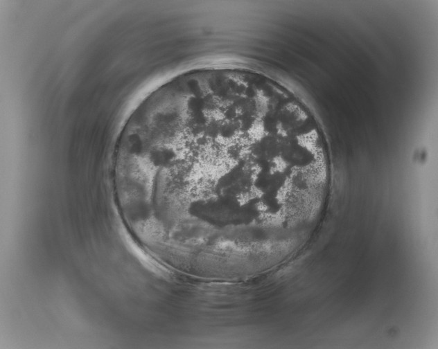 X0000112901429200909181925