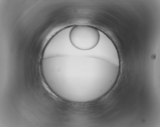 X0000112901432200909181925