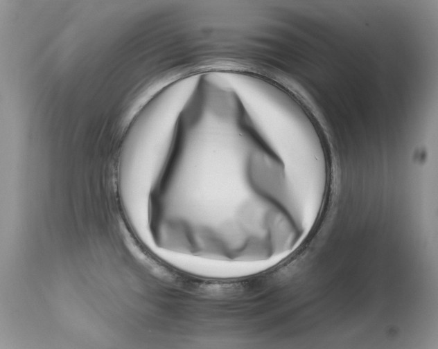 X0000112901433200909181925