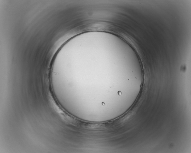 X0000112901434200909181925