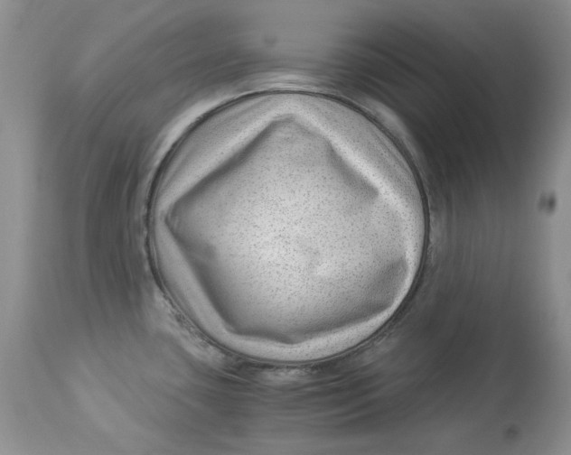 X0000112901435200909181925