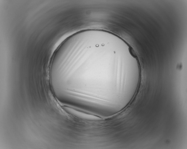 X0000112901436200909181925
