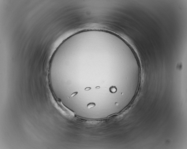 X0000112901437200909181925