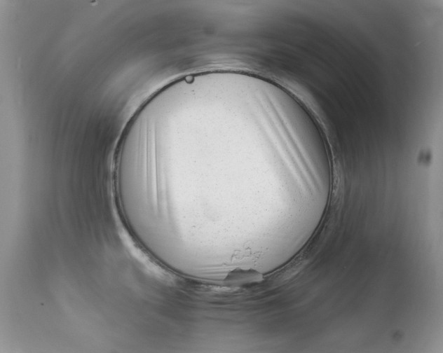 X0000112901439200909181925