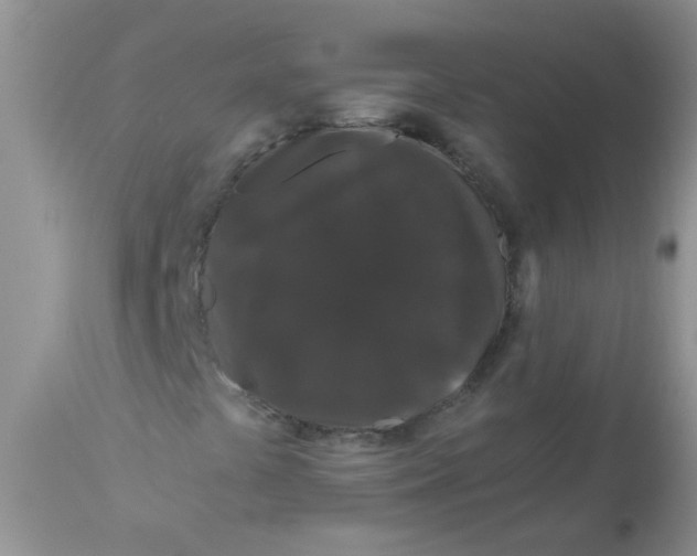 X0000112901441200909181924