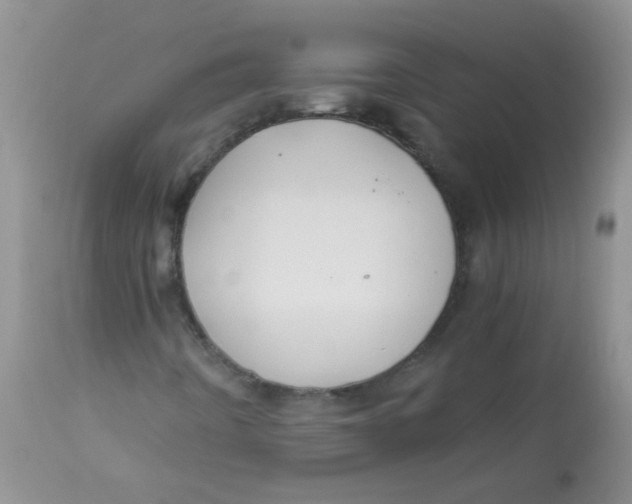 X0000112901442200909181924