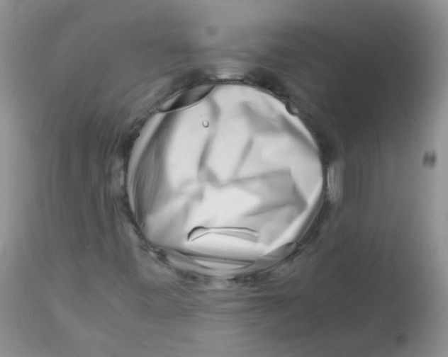 X0000112901443200909181924