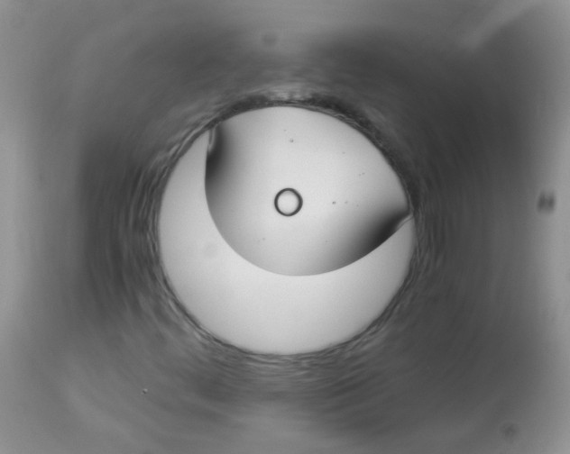 X0000112901444200909181924