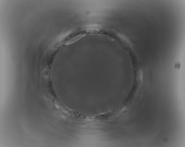 X0000112901445200909181924