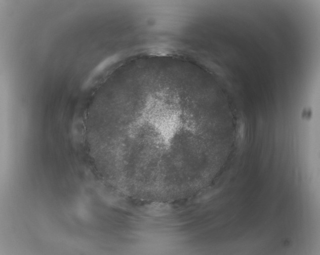 X0000112901446200909181924